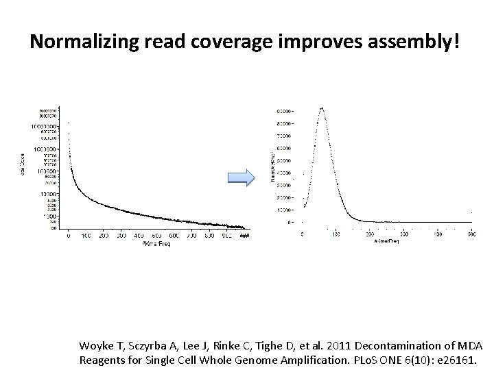 Normalizing read coverage improves assembly! Woyke T, Sczyrba A, Lee J, Rinke C, Tighe Normalizing read coverage improves assembly! Woyke T, Sczyrba A, Lee J, Rinke C, Tighe