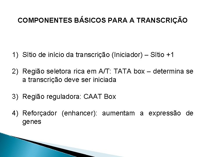 COMPONENTES BÁSICOS PARA A TRANSCRIÇÃO 1) Sítio de início da transcrição (Iniciador) – Sítio