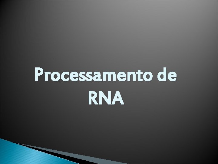 Processamento de RNA 