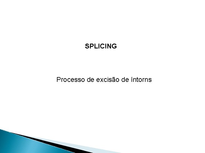 SPLICING Processo de excisão de íntorns 