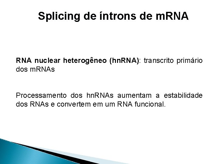 Splicing de íntrons de m. RNA nuclear heterogêneo (hn. RNA): transcrito primário dos m.