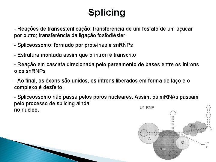 Splicing - Reações de transesterificação: transferência de um fosfato de um açúcar por outro;