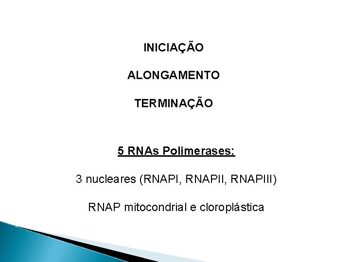 INICIAÇÃO ALONGAMENTO TERMINAÇÃO 5 RNAs Polimerases: 3 nucleares (RNAPI, RNAPIII) RNAP mitocondrial e cloroplástica