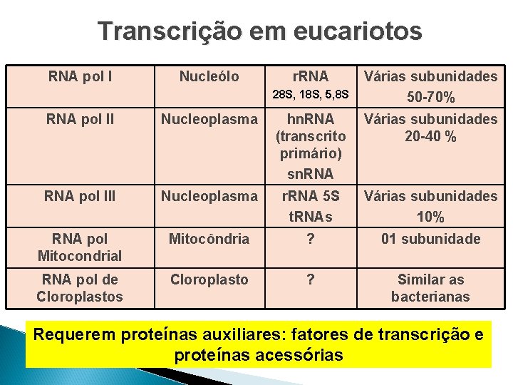 Transcrição em eucariotos RNA pol I Nucleólo r. RNA 28 S, 18 S, 5,