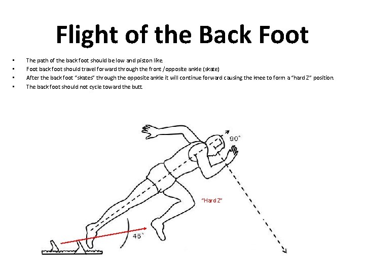 Flight of the Back Foot • • The path of the back foot should
