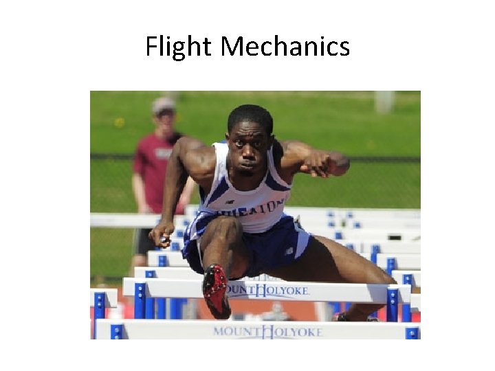 Flight Mechanics 