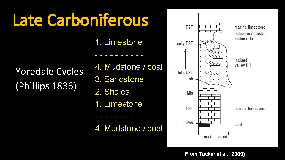 Late Carboniferous Yoredale Cycles (Phillips 1836) 1. Limestone -----4. Mudstone / coal 3. Sandstone