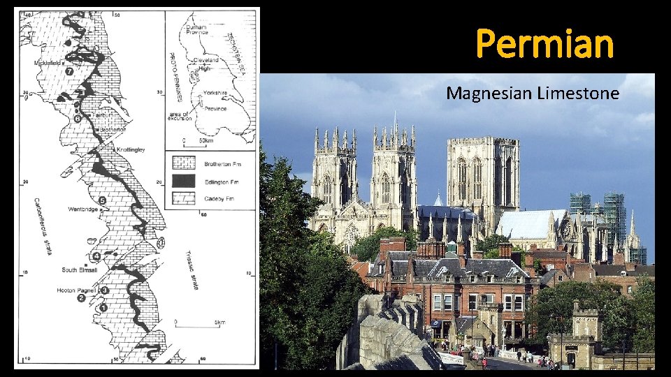 Permian Magnesian Limestone 