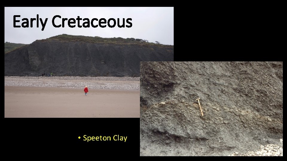 Early Cretaceous • Speeton Clay 