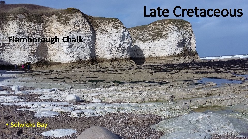 Late Cretaceous Flamborough Chalk • Selwicks Bay 