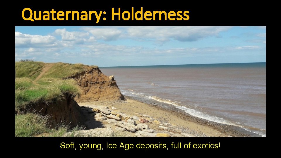 Quaternary: Holderness Soft, young, Ice Age deposits, full of exotics! 