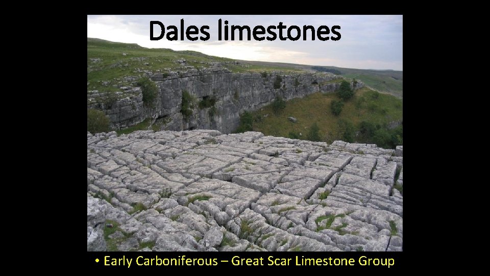 Dales limestones Early Carboniferous • Early Carboniferous – Great Scar Limestone Group 