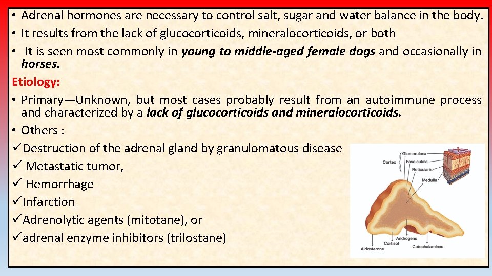 • Adrenal hormones are necessary to control salt, sugar and water balance in • Adrenal hormones are necessary to control salt, sugar and water balance in