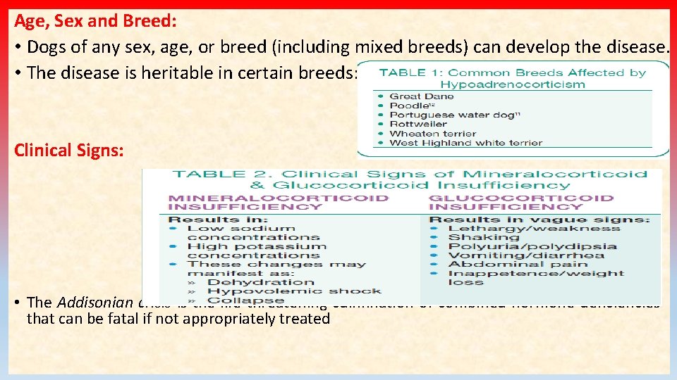 Age, Sex and Breed: • Dogs of any sex, age, or breed (including mixed Age, Sex and Breed: • Dogs of any sex, age, or breed (including mixed