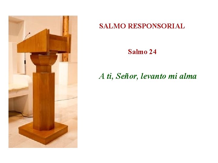 SALMO RESPONSORIAL Salmo 24 A ti, Señor, levanto mi alma 