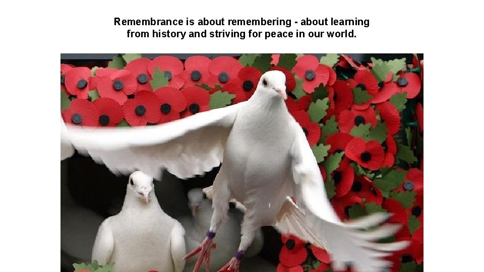 Remembrance is about remembering - about learning from history and striving for peace in