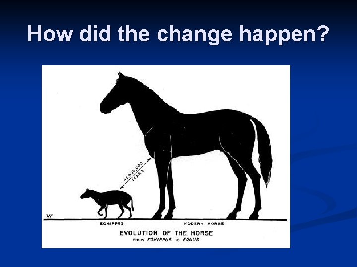 How did the change happen? How did the change happen?