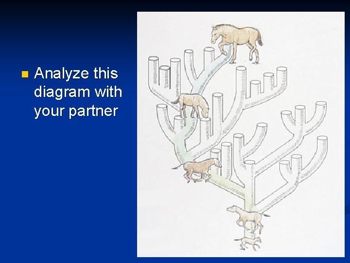 n Analyze this diagram with your partner n Analyze this diagram with your partner