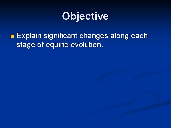 Objective n Explain significant changes along each stage of equine evolution. Objective n Explain significant changes along each stage of equine evolution.