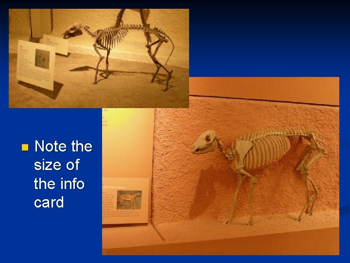 n Note the size of the info card n Note the size of the info card