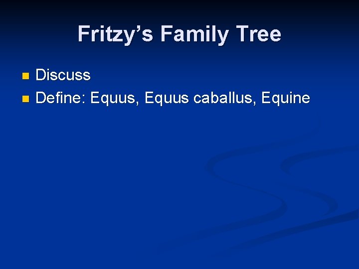 Fritzy’s Family Tree Discuss n Define: Equus, Equus caballus, Equine n Fritzy’s Family Tree Discuss n Define: Equus, Equus caballus, Equine n