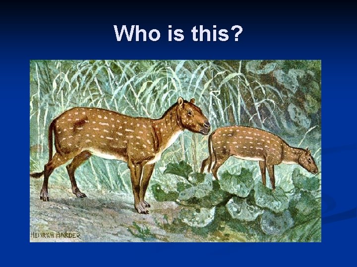 Who is this? Who is this?