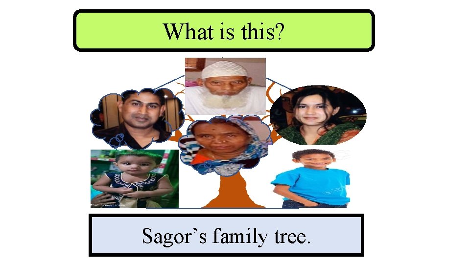 What is this? Sagor’s family tree. 