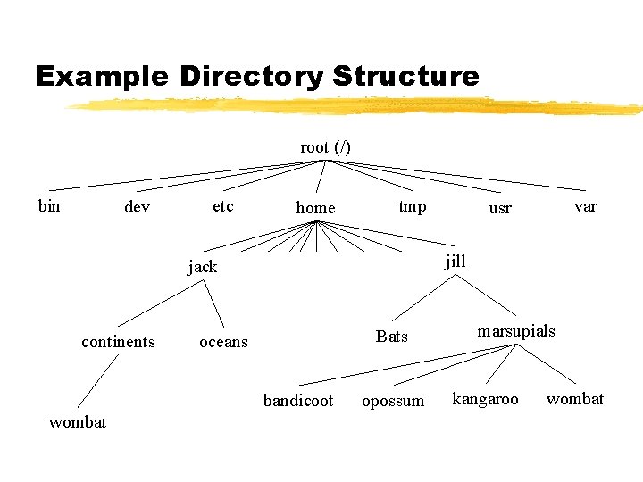 Example Directory Structure root (/) bin dev etc home tmp jill jack continents Bats