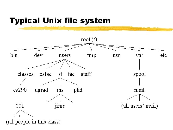 Typical Unix file system root (/) bin classes cs 290 001 dev csfac ugrad