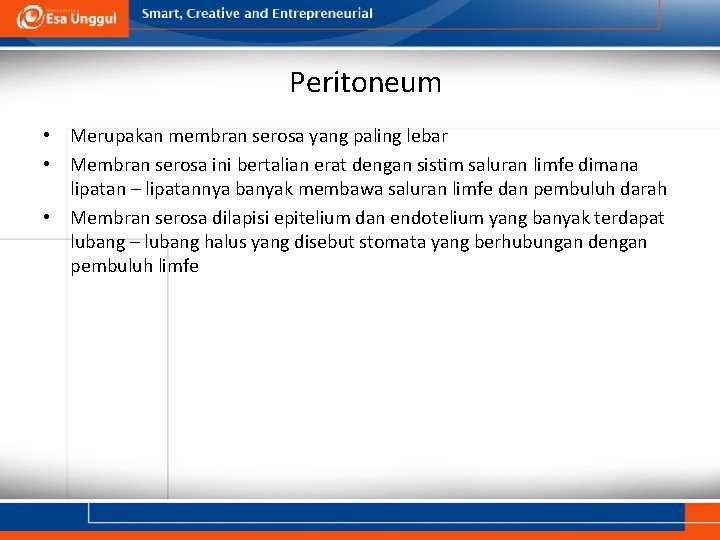 Peritoneum • Merupakan membran serosa yang paling lebar • Membran serosa ini bertalian erat