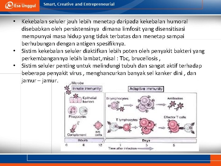  • Kekebalan seluler jauh lebih menetap daripada kekebalan humoral disebabkan oleh persistensinya dimana