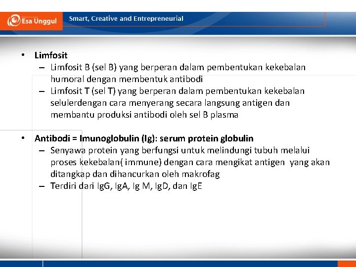  • Limfosit – Limfosit B (sel B) yang berperan dalam pembentukan kekebalan humoral