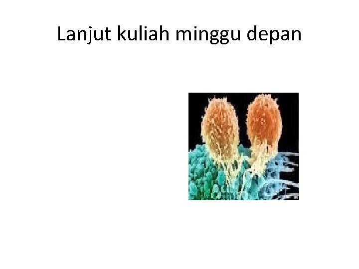 Lanjut kuliah minggu depan 