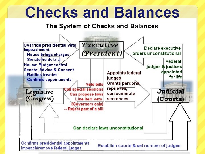 Checks and Balances 