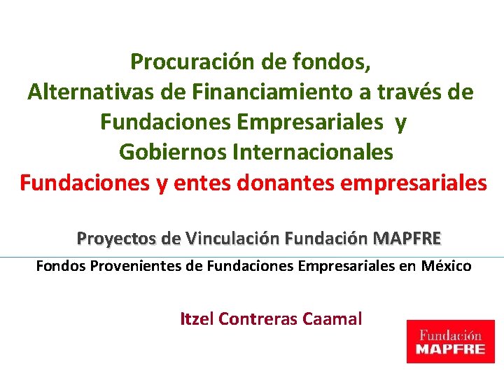 Procuración de fondos, Alternativas de Financiamiento a través de Fundaciones Empresariales y Gobiernos Internacionales