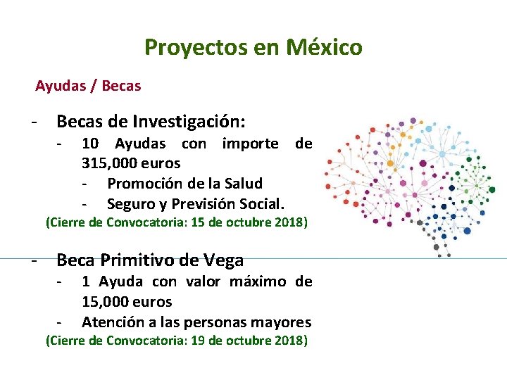 Proyectos en México Ayudas / Becas - Becas de Investigación: - 10 Ayudas con