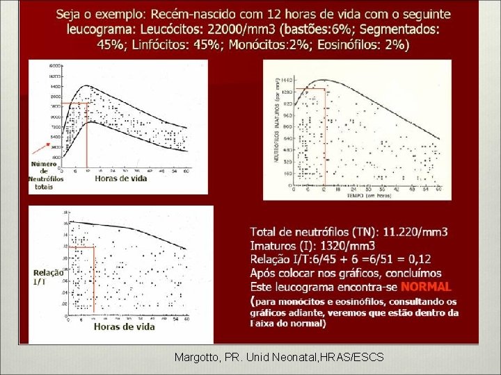 Margotto, PR. Unid Neonatal, HRAS/ESCS 