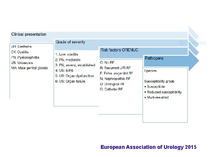 European Association of Urology 2015 