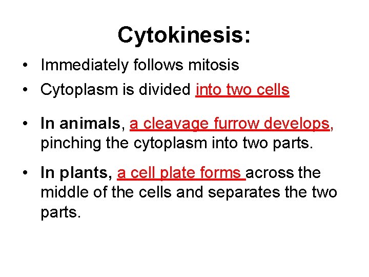Cytokinesis: • Immediately follows mitosis • Cytoplasm is divided into two cells • In