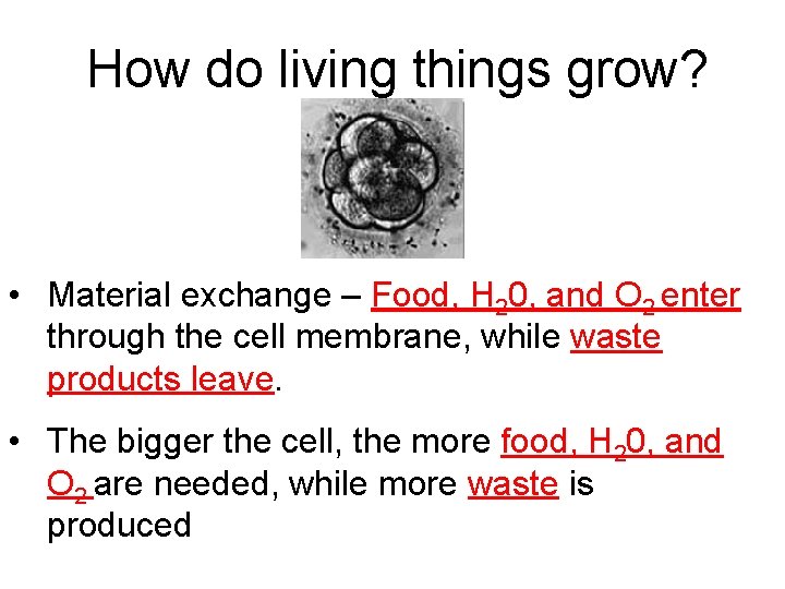 How do living things grow? • Material exchange – Food, H 20, and O