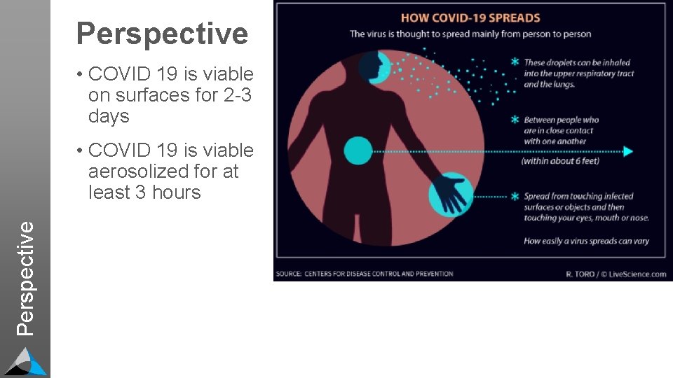 Perspective • COVID 19 is viable on surfaces for 2 -3 days Perspective •