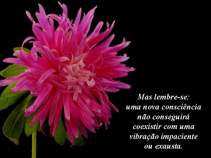 Mas lembre-se: uma nova consciência não conseguirá coexistir com uma vibração impaciente ou exausta.