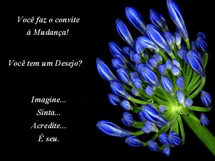 Você faz o convite à Mudança! Você tem um Desejo? Imagine. . . Sinta.