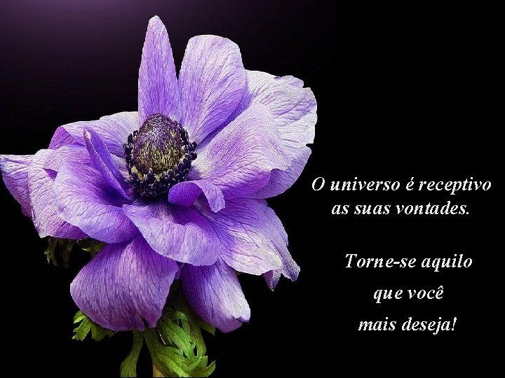 O universo é receptivo as suas vontades. Torne-se aquilo que você mais deseja! 