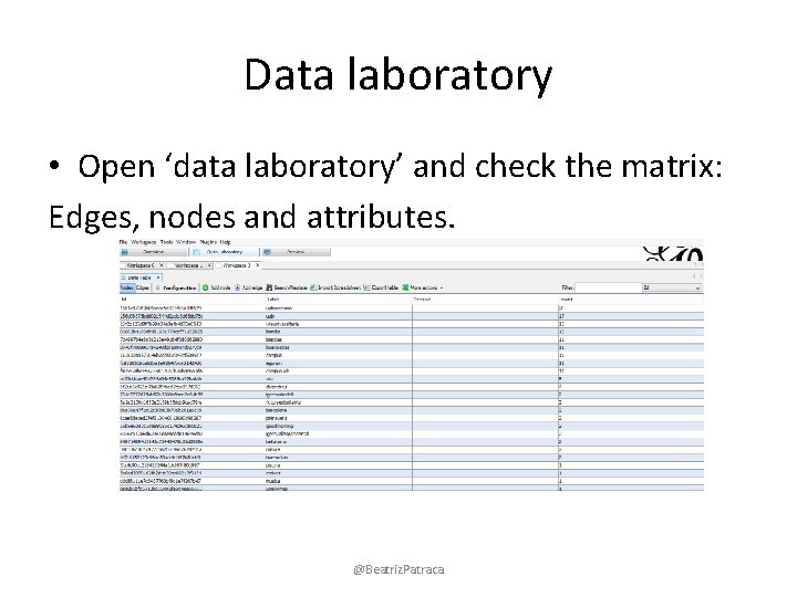 Data laboratory • Open ‘data laboratory’ and check the matrix: Edges, nodes and attributes.