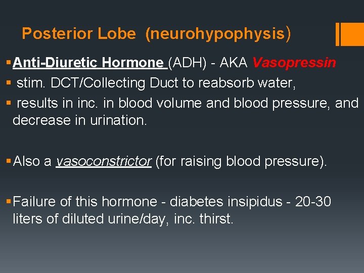 Posterior Lobe (neurohypophysis) § Anti-Diuretic Hormone (ADH) - AKA Vasopressin § stim. DCT/Collecting Duct