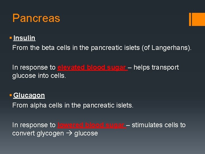 Pancreas § Insulin From the beta cells in the pancreatic islets (of Langerhans). In