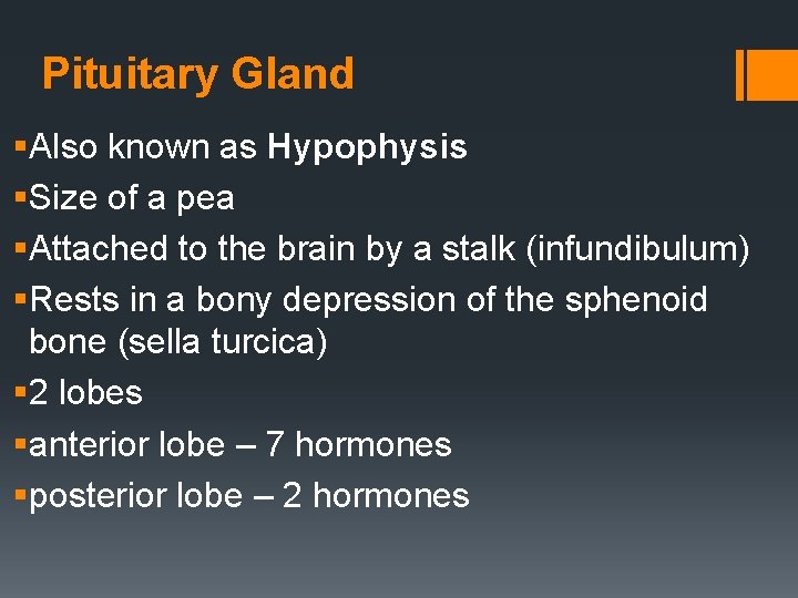 Pituitary Gland §Also known as Hypophysis §Size of a pea §Attached to the brain