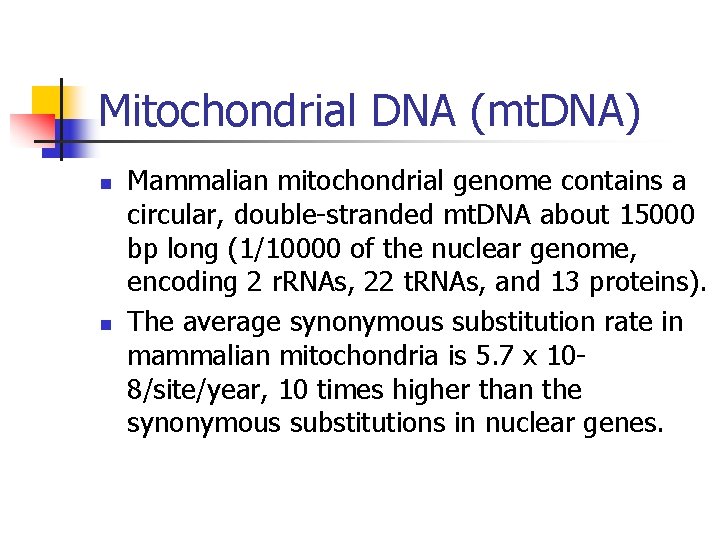 Mitochondrial DNA (mt. DNA) n n Mammalian mitochondrial genome contains a circular, double-stranded mt.