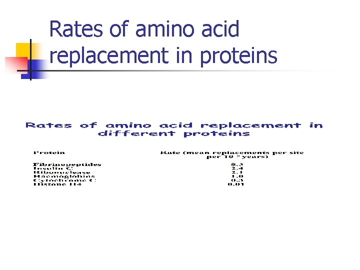 Rates of amino acid replacement in proteins 